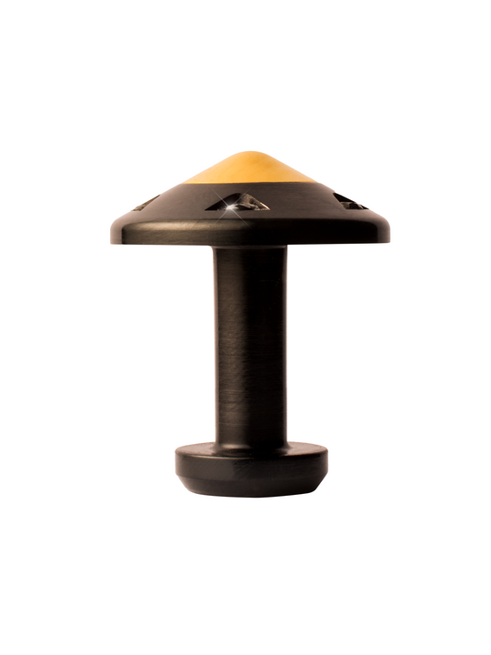 Ambassador Black and Gold
